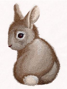 Малыш Кролик