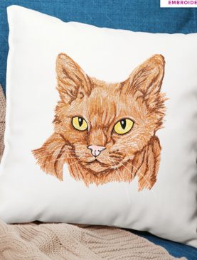 Кошачьи портреты